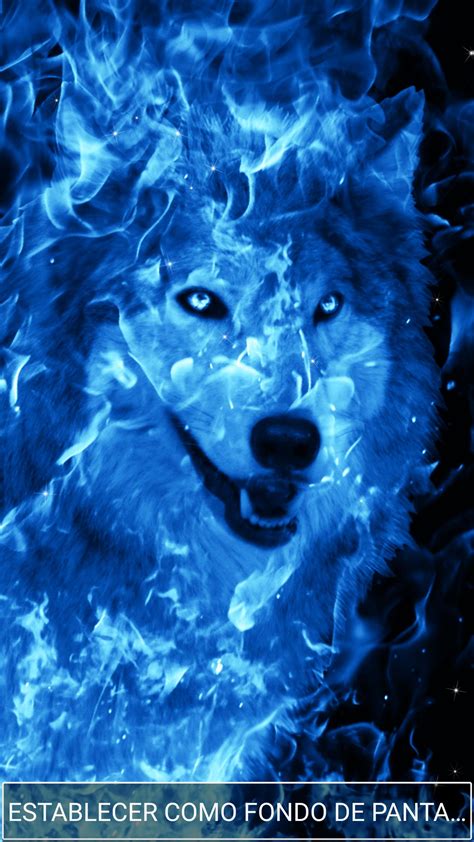 Fondos De Pantalla De Lobos De Fuego Azul Novalena