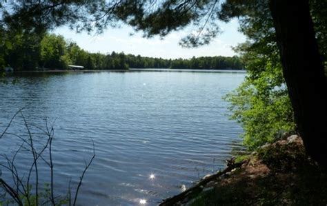 Chute Pond A 433 Acre Wisconsin Lake Cottage For Sale Near Mountain