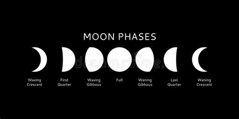 Moon Phases Set Calendar Symbols Vector Illustration Stock Vector