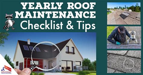 Yearly Roof Maintenance Checklist And Tips