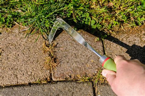 Natural Way To Kill Weeds Between Pavers Sands Pavers