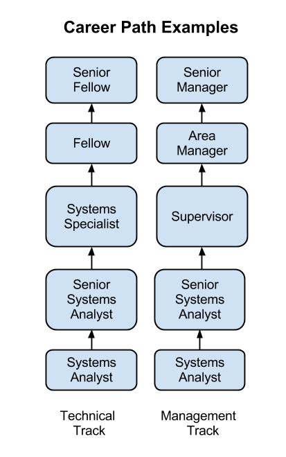 The People in Information Systems | Information Systems