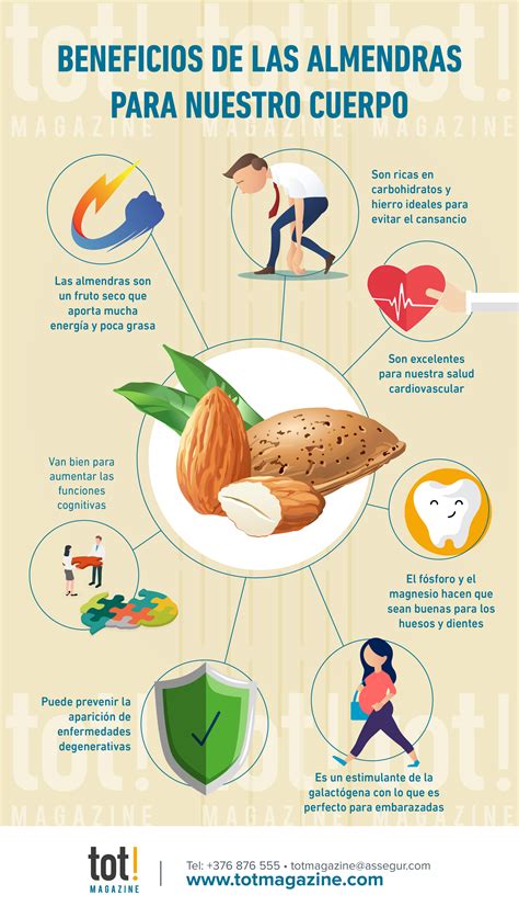 Beneficios Nutricionales De Las Almendras Para La Salud Kulturaupice