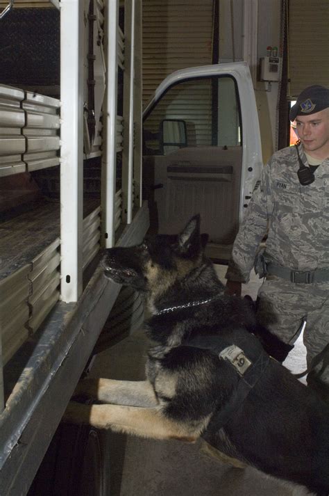 K 9 Units Train To Protect Fairchild Air Force Base Display