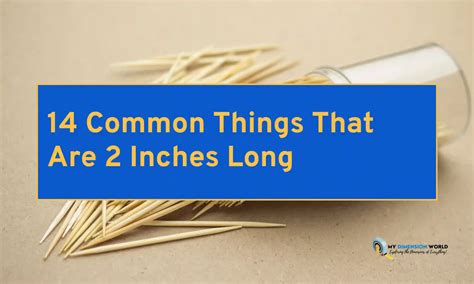 11 Common Things That Are 2 Inches Long