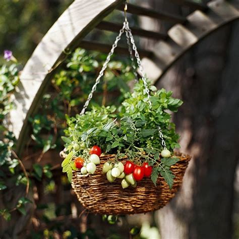 20 Interesting Fresh Ideas For Growing Vegetables In Containers