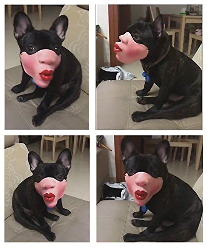 Human Face Dog Masks Cool Stuff To Buy Online