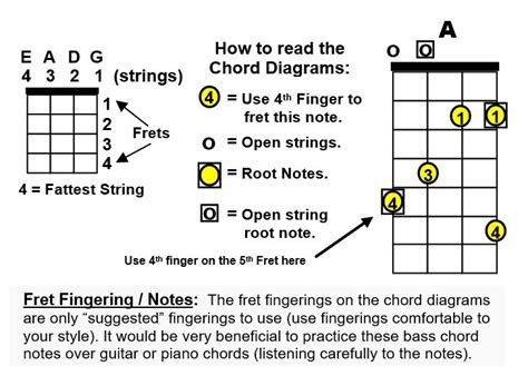 Bass Guitar Chords Basic Information For Beginner Bass Players