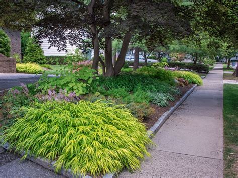 Drought Tollerant Landscape Curbside — Randolph Indoor And Outdoor Design