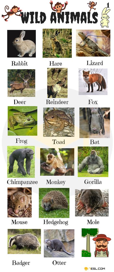 Animals Vocabulary In English Learn Animal Names 7 E S L