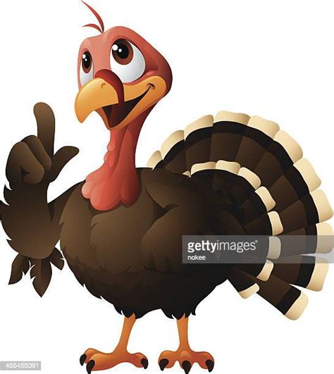 Funny Looking Turkeys Photos And Premium High Res Pictures Getty Images