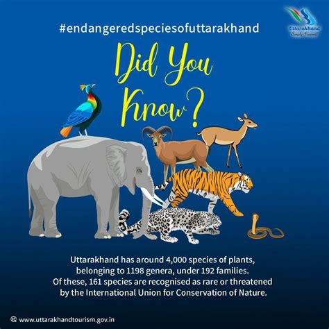 Did You Know About Uttarakhand Shelters Species In 2021 Species