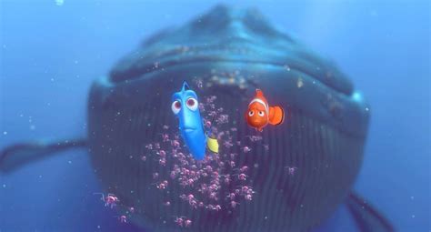 Buscando A Nemo Disney Pixar Film Disney Disney Characters Pixar