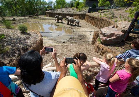 Omaha Zoo Expects To Go Over 2 Million Annual Visitors On Tuesday