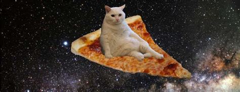 Thats Pretty Neat Pizza Cat Space Cat Cats