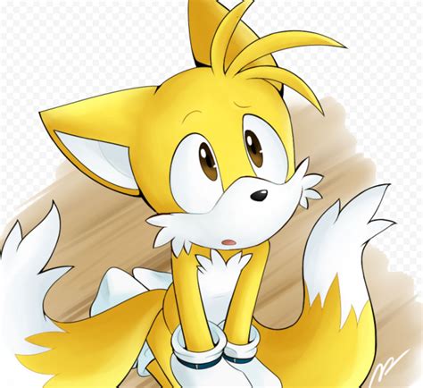 Tails Png Photo Free Download Pxpng