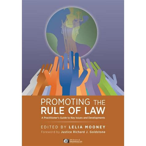 Promoting The Rule Of Law A Practitioners Guide To Key Issues And