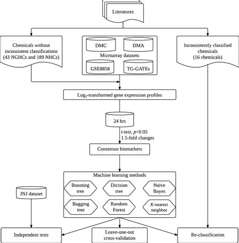 Flowchart Of Consensus Biomarker Identification And Independent Test A