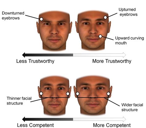 Polish Facial Features