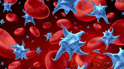 Low Platelet Count Know Its Causes And Symptoms Healthkart