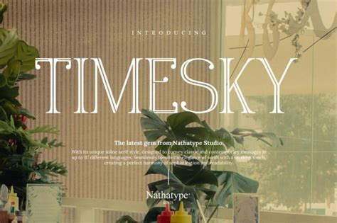Timesky Personal Use Windows Font Free For Personal
