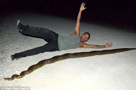 Florida Snake Wrangler Rescues Ft Python From Car Daily Mail Online