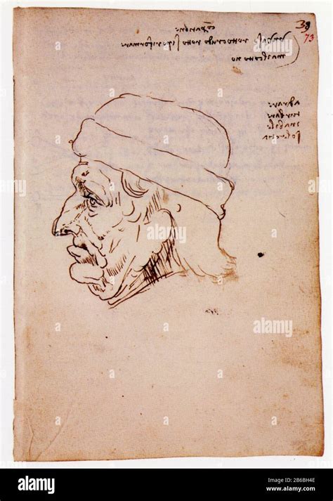 Leonardo Da Vinci Pen And Ink Drawing Of Head Of An Old Man1487 1490