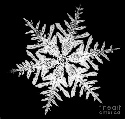 Snowflake Photograph By Science Source Fine Art America