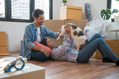 Geico home insurance review although they are best known for being the second largest automobile insurer in the nation, geico the following companies are our partners in homeowners insurance: Geico Renters Insurance Review - NerdWallet