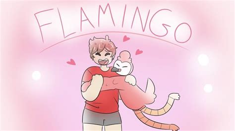 Flamingo Ft Flamingoalbert Fan Video Flamingo