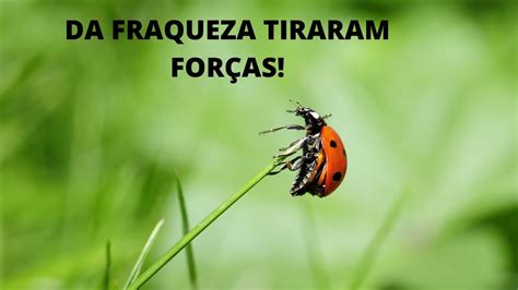 Da Fraqueza Tiraram Força