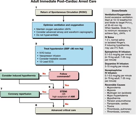 Citeulike Therapeutic Hypothermia After Cardiac Arrest Acls Acls