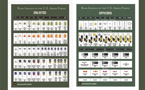 Rank Insignia Of The Us Armed Forces Enlisted Officers 18x28 45cm