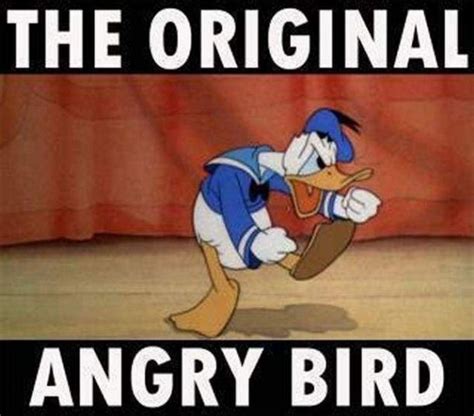 Top 20 Most Funny Angry Birds Memes And Jokes Disney Funny Funny