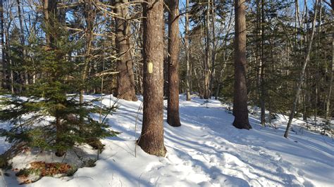 Long Reach Preserve In Winter Harpswell Heritage Land Trust