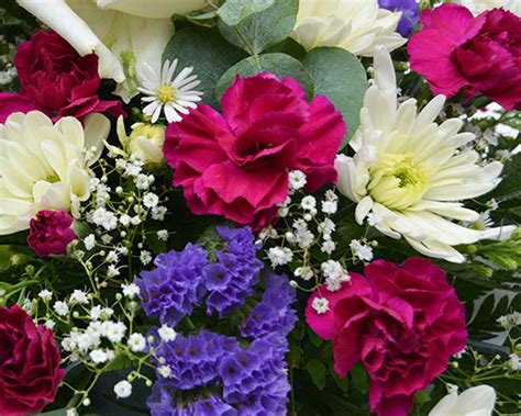 Dianthus is the botanical name of a great group of flowers that includes wild sweet william, the pinks, and of course, the carnations. Simply Flowers Nottingham | Funeral Flowers | Casket Top ...