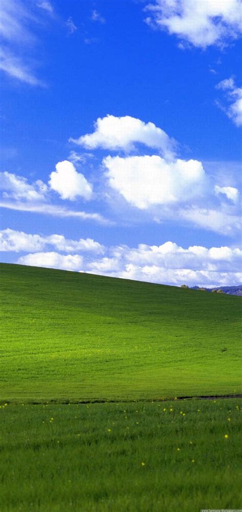 Windows Green Hills Background
