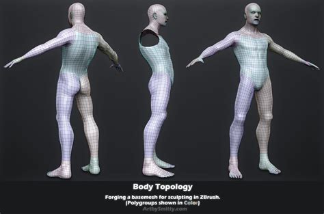 Male Body Topology By Art By Smitty On Deviantart