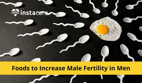 Foods That Boots Male Fertility In Men And Increase Sperm Count