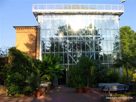 Planerar du att besöka botanischer garten i halle? Botanischer Garten in Halle (Saale) - www.halle-entdecken.de