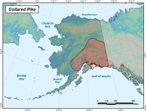 Collared Pika Range Map Alaska Department Of Fish And Game
