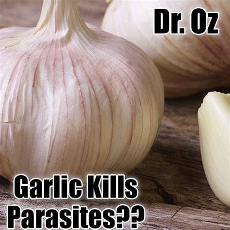 Dr Oz Garlic Supplement For Parasites And Worms — Best Price Nutrition