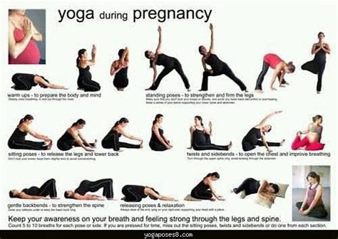 Explore the changes a pregnant woman's body goes through as you watch a baby grow during the 1st, 2nd and 3rd trimesters. Yoga postures for 3rd trimester - YogaPoses8.com
