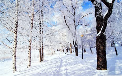 Winter Wonderland Desktop Background ·① Wallpapertag