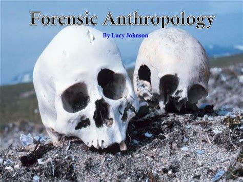 Ppt Forensic Anthropology Powerpoint Presentation Free Download Id