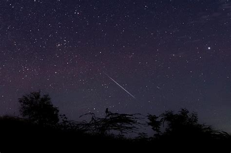 Fare 2023 Well With The Ursid Meteor Shower Friday Night — If You Can