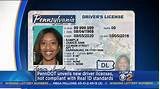 Search Drivers License Photos
