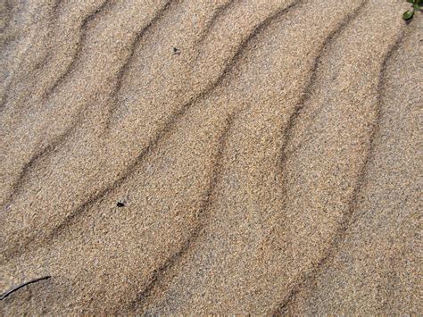 Free Images Sand Rock Light Wood Texture Floor Coastal Asphalt