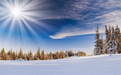 See more of die schönsten winterbilder on facebook. Winterbilder Tiere Als Hintergrundbild - Pin von Olga 1019 ...