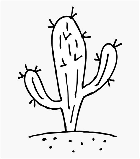 Cactus Clipart Outline Free Clip Art Cactus Black And White Hd Png